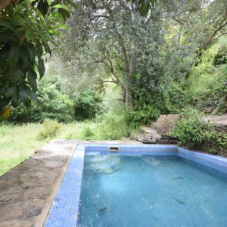 Quiet And Cottage In The Estate Casas Da Cerca Troviscais 外观 照片